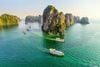 Luxury Day Cruise Halong Bay with Full Activities