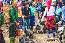 6-DAY TOUR OF HALONG BAY - SAPA FROM HANOI/ 2025-2026