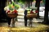 7 Day Luxury Vietnam Tour from Hanoi to Ho Chi Minh City/ 2024-2025
