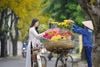 7 Day 6 Night Hanoi Sapa Ninh Binh & Halong Bay Tour/ 2025-2026