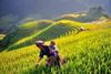 3 Days Amazing Sapa Tour - Hotel & Homestay With Ethnic Minority People