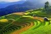 9 Days Hanoi - Sapa - Ninh Binh - Halong Bay Tour/ 2024-2025