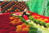 BEST OF VIETNAM TOURS & HOLIDAY PACKAGES FROM AUSTRALIA/ 2024-2025