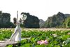 6 DAY 5 NIGHT HANOI, SAPA TREK, NINH BINH & HALONG BAY TOUR/ 2025-2026