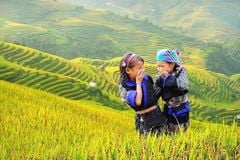 3 Day Sapa Trekking Tour From Hanoi
