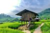 3 Days Sapa Tour From Hanoi - Best of Sapa Tours & Holiday Packages