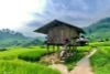6 Days Best of Hanoi - Sapa - Halong Bay Tour Package