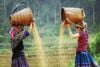 7 Day 6 Night Hanoi Sapa & Halong Bay with Overnight Cruise/ 2025-2026