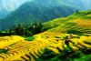 3 Days Sapa Tour From Hanoi - Best of Sapa Tours & Holiday Packages