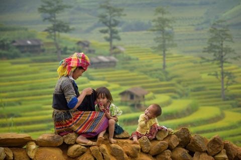 12-DAY PRIVATE LUXURY TOUR OF VIETNAM FOR AMERICAN TRAVELERS /2025-2026