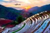 7 Days 6 Nights Hanoi, Sapa & Halong Bay with Overnight Cruise/ 2024-2025