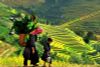 10 BEST VIETNAM FAMILY TOUR & HOLIDAY PACKAGES/ 2025-2026