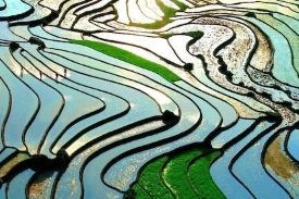 8 Days Best of Vietnam: Hanoi - Ninh Binh - Sapa - Halong Bay