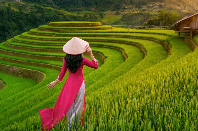 BEST 7-DAY TOUR EXPLORING NORTHERN VIETNAM | HANOI | SAPA | HALONG BAY