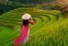 6-DAY TRAVEL IN NORTHERN VIETNAM: HANOI HALONG BAY NINH BINH SAPA