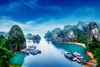 5 Day 4 Night Hanoi Tam Coc Ninh Binh & Halong Bay Tour/ 2024-2025