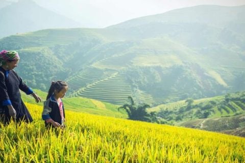 GREAT 7-DAY ITINERARY FOR EXPLORING HANOI, SAPA, HA LONG BAY & PRICING
