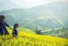 GREAT 7-DAY ITINERARY FOR EXPLORING HANOI, SAPA, HA LONG BAY & PRICING