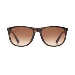 Kính mát RAYBAN RB4291F 710/13