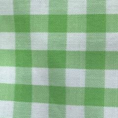 Áo Sơ Mi Nữ TheBlueTshirt Girly Top - Pearl Green Gingham ZigZag