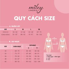 Combo 8 Quần Lót Nữ Thun Lạnh Viền Ren Lưng Màu Pastel Miley Lingerie - BMS00