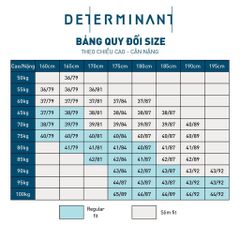 Áo Sơ Mi Nam DETERMINANT Công Sở Premium Cotton Chống Nhăn, Kháng Khuẩn Tay Dài - 301-01