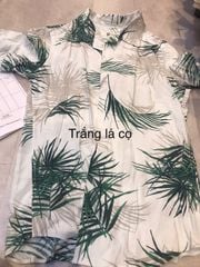 Áo Sơ Mi Nam F2  Linen Trắng Lá Cọ Tender Drit