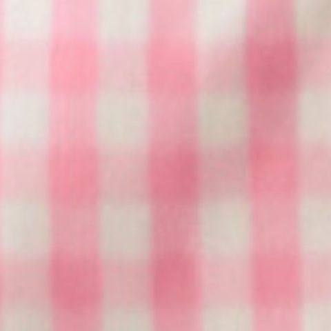 Áo Nữ TheBlueTshirt Jessie Shirt - Pink Gingham