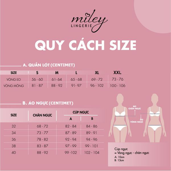 Combo 5 Quần Lót Modal Lưng Ren Active Miley Lingerie FDS74 Basic (Màu Ngẫu Nhiên)