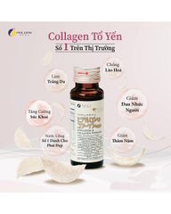 Collagen Fine Japan Hyaluron Collagen Premium Swallow Nest (Hộp 10 Chai x 50ml)