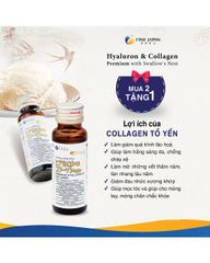Collagen Fine Japan Hyaluron Collagen Premium Swallow Nest (Hộp 10 Chai x 50ml)