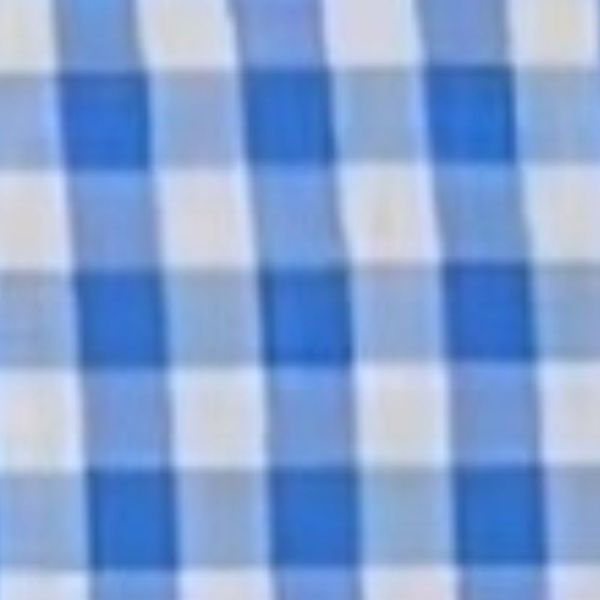 Áo Sơ Mi Nữ TheBlueTshirt Ultimate Classic Shirt - Royal Blue Gingham