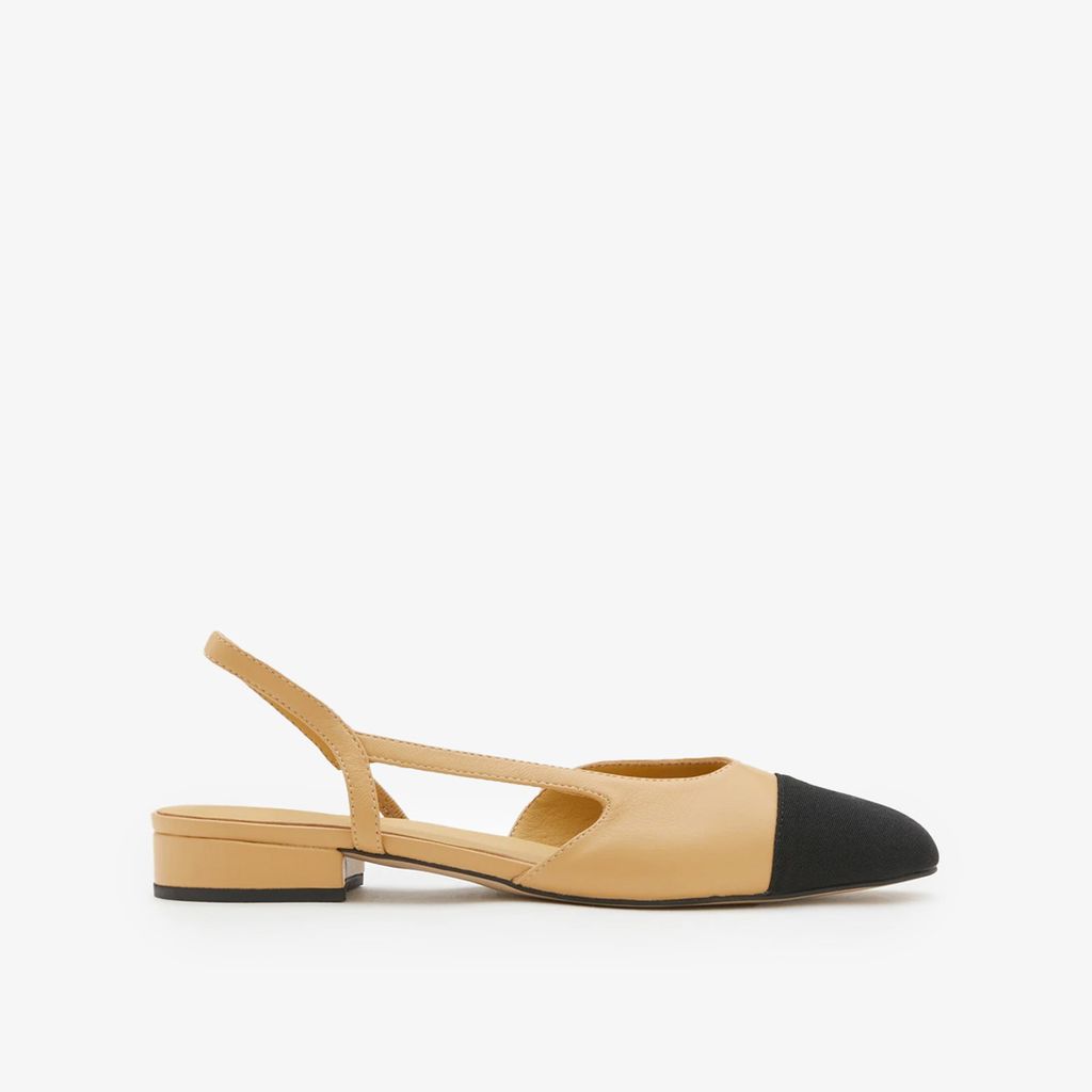 Giày Bệt Nữ PAZZION Blythe Contrast Toe Cap Flats