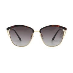 Kính mát VIGCOM VG2116 S4