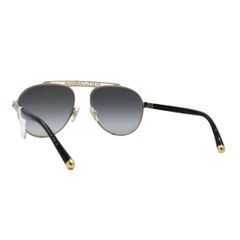 Kính mát Dolce & Gabbana DG2235 028G