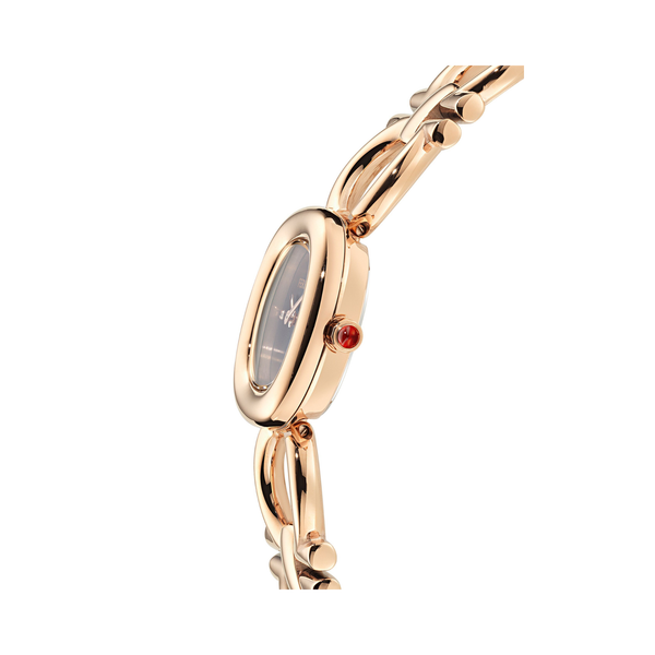 Đồng Hồ Nữ FERRAGAMO DOUBLE GANCINI JEWEL