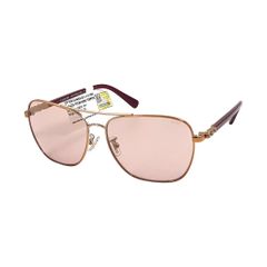 Kính Mát Unisex Coach HC7073B 9304/1T