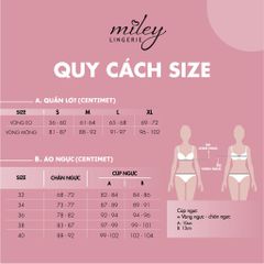 Combo 5 Quần Lót Thun Lạnh Trơn Viền Ren Miley Lingerie BMS Màu Ngẫu Nhiên