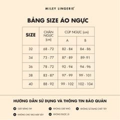 Áo Ngực Cúp Tròn Lưng Ren Comfort BRM01002