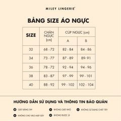 Áo Ngực Cúp Tròn Lưng Ren Comfort BRM09002