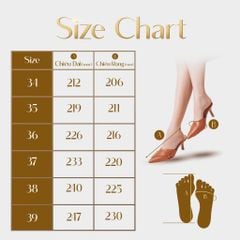 Giày Mules Nữ THÁI TUẤN Bít Mũi Nhọn Màu Trắng