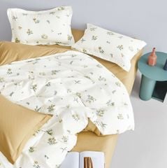 Bộ chăn ga gối cotton nhung STEFANI ST200037