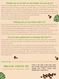  Cà phê Túi Lọc NEW 14Gr hữu cơ thải độc đại tràng Enema Phổ thông gói 250gr và 453gr - Organic Coffee JSC 
