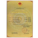  Cà phê rang xay Robusta hữu cơ nguyên chất 100% Paranoma dùng pha phin, pha máy - Organic Coffee JSC 