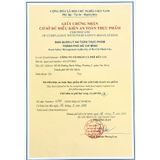  Cà phê rang xay nguyên chất Robusta Blend Victoria 28, Cafe hữu cơ pha phin và pha máy - Organic Coffee JSC 