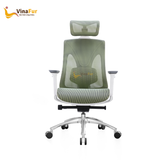 Ghế công thái học Ergonomic 811A-White