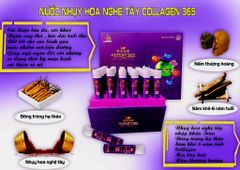 Collagen nghệ tây 30 ống 365