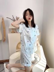 Đồ bộ ngủ Pyjama lụa băng tay ngắn quần ngắn NT03
