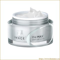 Kem THE MAX Stem Cell Crème