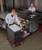 Insulated Food Carrier